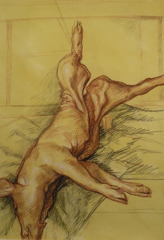 Pig Study II; chalk on paper, 112 x 76 cm, 1995