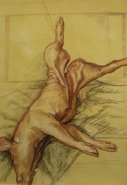 Pig Study; chalk on paper, 112x76cm, 1995 copy.jpg