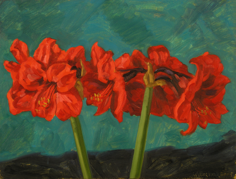 Amaryllis; oil on canvas, 47 x 61 cm, 2009