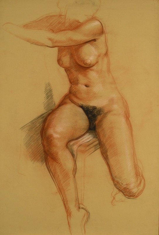 Figure Study; chalk on paper, 112 x 76 cm, 1991
