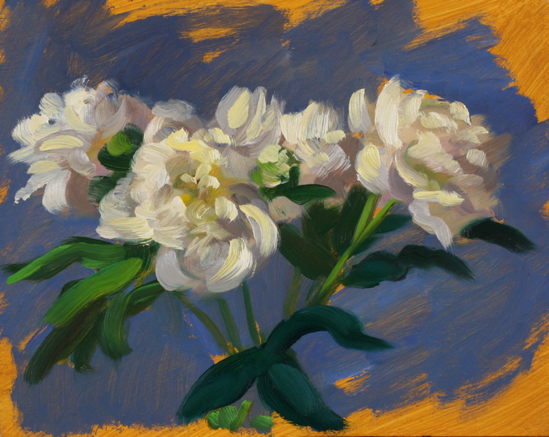 Peonies I; oil on board, 28 x 38 cm, 2011